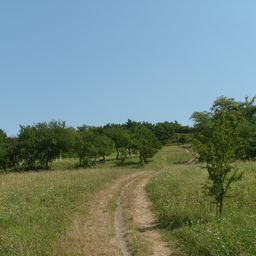 2011-08-24 02.56.47.jpg